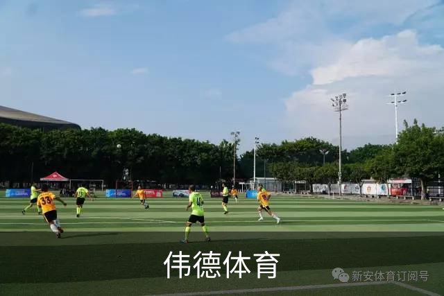 伟德体育公司介绍图片